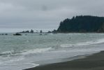 PICTURES/Rialto Beach/t_Flying Gulls4.JPG